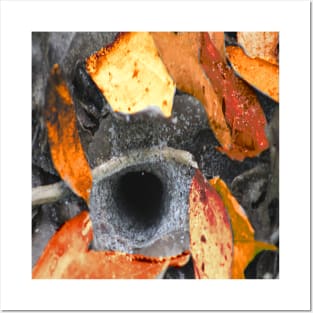 Fiery Funnel Web Spider's Den Posters and Art